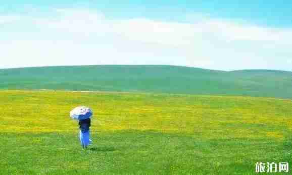 新疆草原有哪幾大草原 新疆草原圖片 新疆草原有哪幾大草原 新疆草原圖片