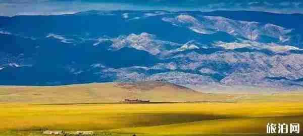 新疆草原有哪幾大草原 新疆草原圖片 新疆草原有哪幾大草原 新疆草原圖片