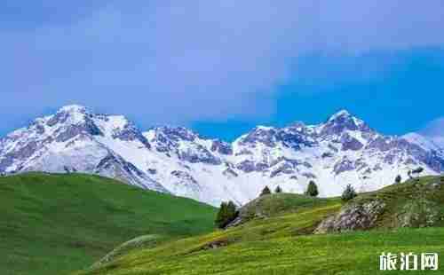 新疆草原有哪幾大草原 新疆草原圖片 新疆草原有哪幾大草原 新疆草原圖片