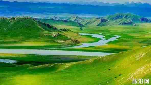 新疆草原有哪幾大草原 新疆草原圖片 新疆草原有哪幾大草原 新疆草原圖片
