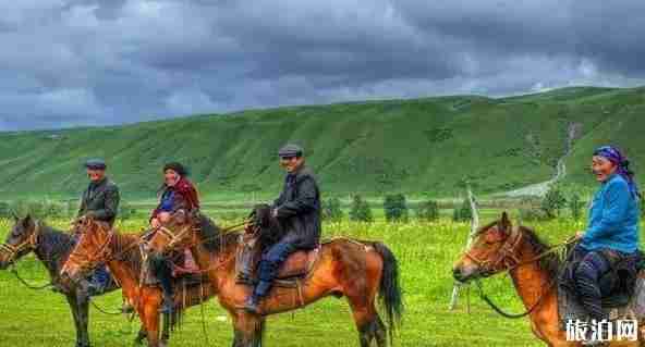新疆草原有哪幾大草原 新疆草原圖片 新疆草原有哪幾大草原 新疆草原圖片