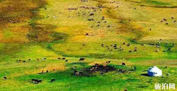 新疆草原有哪幾大草原 新疆草原圖片 新疆草原有哪幾大草原 新疆草原圖片