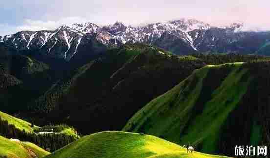 新疆草原有哪幾大草原 新疆草原圖片 新疆草原有哪幾大草原 新疆草原圖片