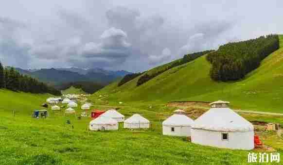 新疆草原有哪幾大草原 新疆草原圖片 新疆草原有哪幾大草原 新疆草原圖片