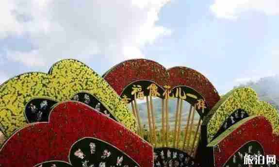 青海花海照片 青海花海景区介绍 青海花海照片 青海花海景区介绍
