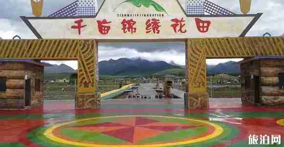 青海花海照片 青海花海景区介绍 青海花海照片 青海花海景区介绍