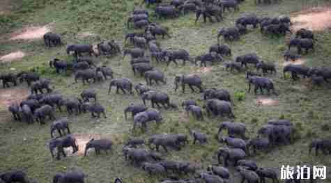剛果金旅游景點介紹 剛果金旅游景點介紹