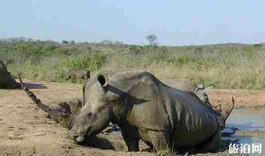 剛果金旅游景點介紹 剛果金旅游景點介紹