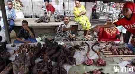 剛果金旅游景點介紹 剛果金旅游景點介紹