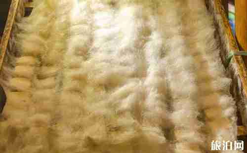 黃山屯溪老街美食攻略