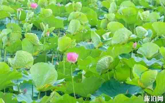 2018下半年去江蘇旅游景點推薦