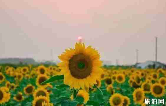 2018下半年去江蘇旅游景點推薦