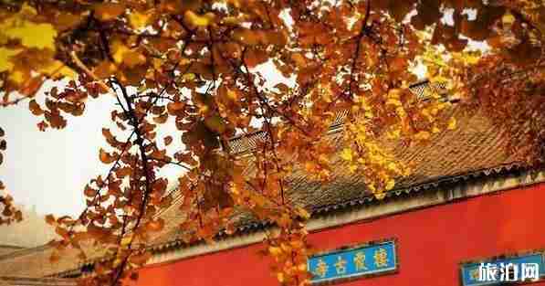 2018下半年去江蘇旅游景點推薦