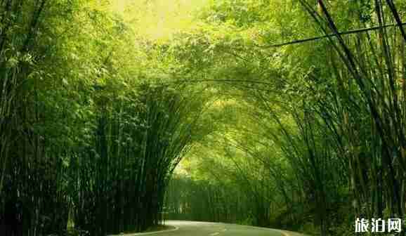 七月適合情侶去哪旅游 七月適合情侶去哪旅游