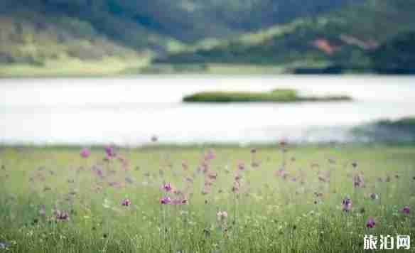 七月適合情侶去哪旅游