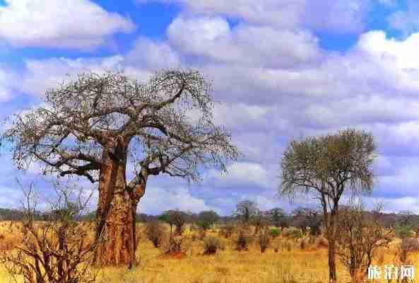 cnn評選世界十大最佳旅行地2018