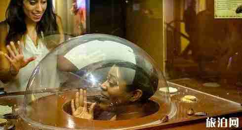 紐約博物館推薦 紐約博物館推薦