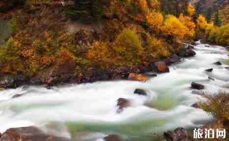 新龍縣海拔多少米 新龍縣旅游景點介紹 新龍縣海拔多少米 新龍縣旅游景點介紹