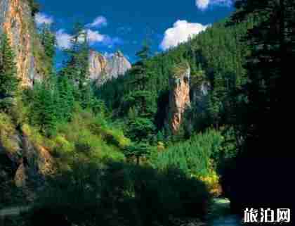 新龍縣海拔多少米 新龍縣旅游景點介紹 新龍縣海拔多少米 新龍縣旅游景點介紹