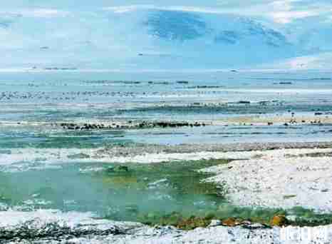 新龍縣海拔多少米 新龍縣旅游景點介紹 新龍縣海拔多少米 新龍縣旅游景點介紹