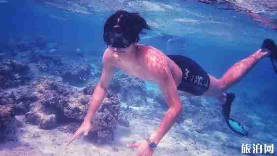 浮潛去哪里 浮潛勝地推薦世界篇