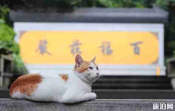 中國最美的寺廟有哪些 中國最美寺廟介紹