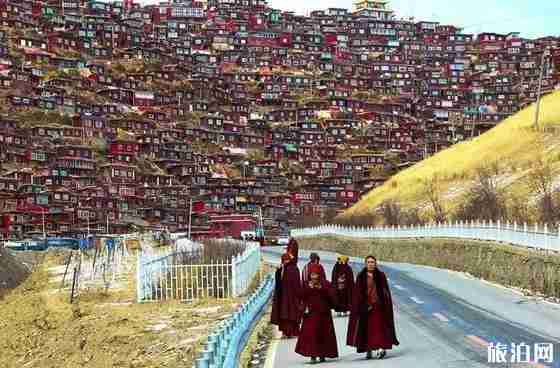 中國最美的寺廟有哪些 中國最美寺廟介紹