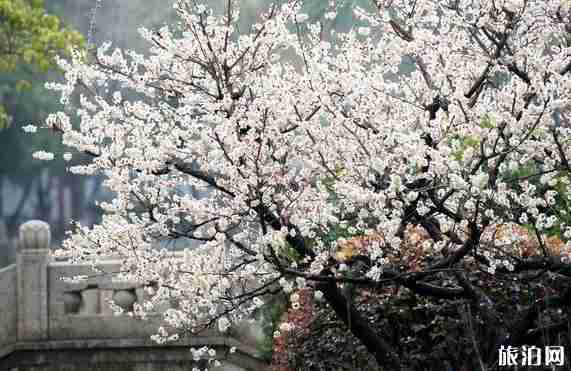 江浙滬親子游地點(diǎn)推薦