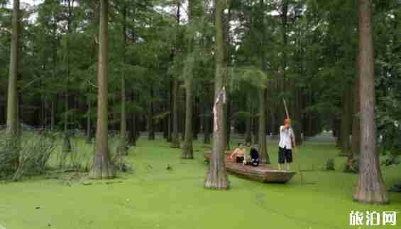 漲渡湖濕地公園好玩嗎 漲渡湖濕地公園在哪里+交通指南 漲渡湖濕地公園好玩嗎 漲渡湖濕地公園在哪里+交通指南