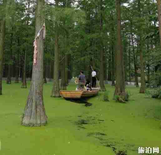 漲渡湖濕地公園好玩嗎 漲渡湖濕地公園在哪里+交通指南 漲渡湖濕地公園好玩嗎 漲渡湖濕地公園在哪里+交通指南