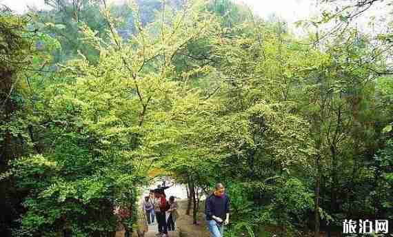 重慶徒步旅游線路推薦 重慶徒步旅游線路推薦