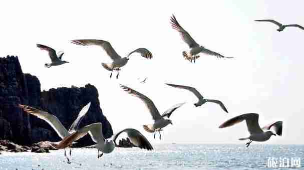 威海旅游景點排名前十介紹 威海旅游景點排名前十介紹