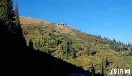 新疆最美公路圖片大全 新疆最美公路介紹 新疆最美公路圖片大全 新疆最美公路介紹