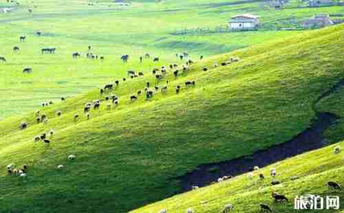 新疆南疆和北疆哪個好玩 新疆南疆和北疆哪個好玩