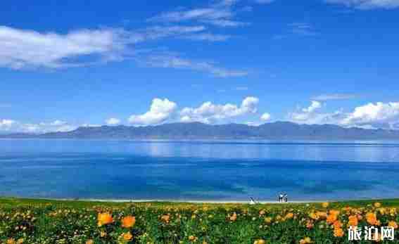 新疆南疆和北疆哪個好玩 新疆南疆和北疆哪個好玩