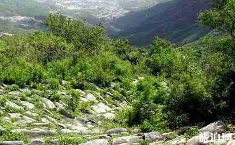 北京京郊自駕游公路有哪些 北京京郊最美公路推薦 北京京郊自駕游公路有哪些 北京京郊最美公路推薦