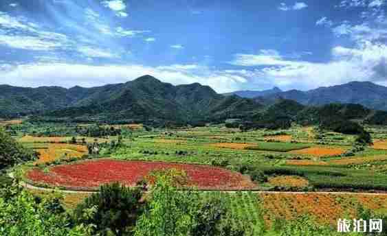 北京京郊自駕游公路有哪些 北京京郊最美公路推薦 北京京郊自駕游公路有哪些 北京京郊最美公路推薦