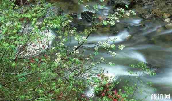北京京郊自駕游公路有哪些 北京京郊最美公路推薦 北京京郊自駕游公路有哪些 北京京郊最美公路推薦