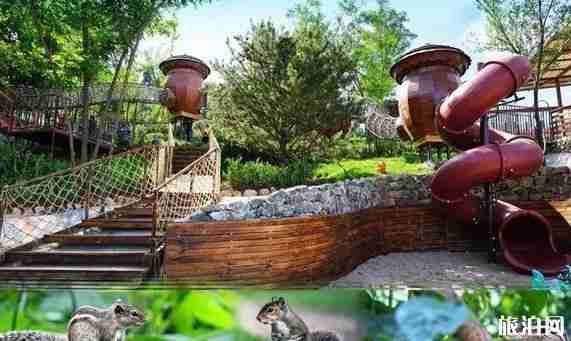 北京京郊自駕游公路有哪些 北京京郊最美公路推薦 北京京郊自駕游公路有哪些 北京京郊最美公路推薦