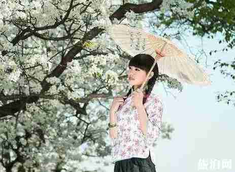 宿遷旅游景點(diǎn)有哪些 宿遷旅游景點(diǎn)介紹