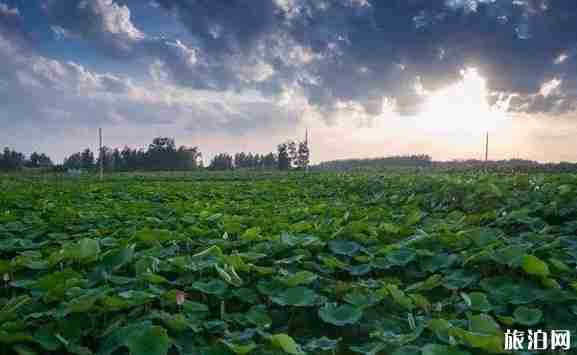 宿遷旅游景點(diǎn)有哪些 宿遷旅游景點(diǎn)介紹