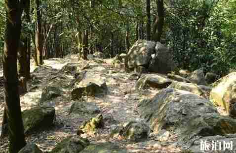 廣州徒步線路推薦 廣州徒步線路推薦