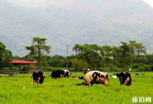 臺(tái)灣花蓮有什么好玩的地方 臺(tái)灣花蓮有什么好玩的地方