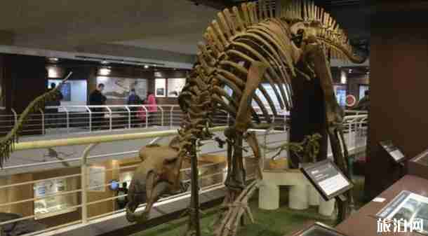 暑假帶孩子去哪里的博物館好