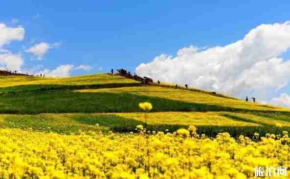 八月去青海玩合适吗 八月去青海旅游景点介绍 八月去青海玩合适吗 八月去青海旅游景点介绍