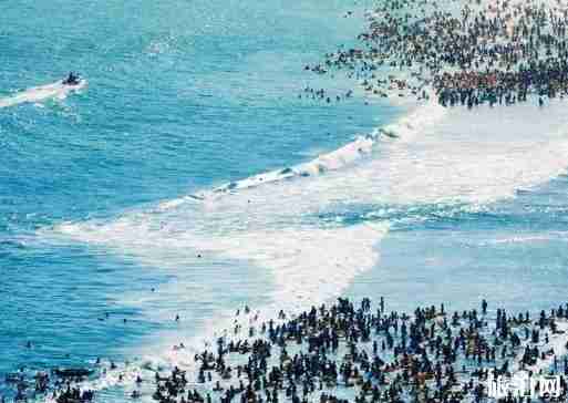 青岛海水浴场哪个好 青岛海水浴场有哪几个 青岛海水浴场哪个好 青岛海水浴场有哪几个