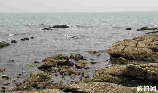 日照哪个浴场最好 日照哪个海水浴场好玩