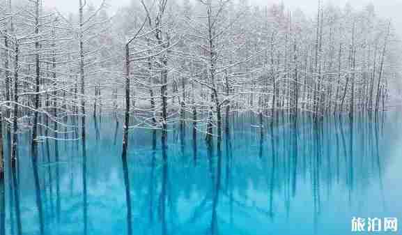 日本小镇风景图片 日本特色小镇介绍