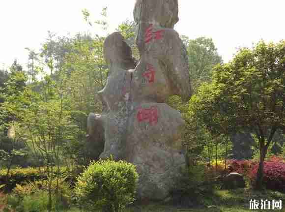 新民荷花节是哪一天 新民荷花节活动介绍+门票