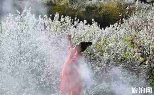 四川哪些景区关闭